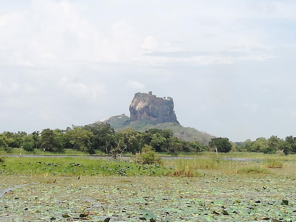 Sigiri Binara Villa Sigiriya Exterior foto